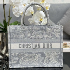 Christian Dior Shopping Bags